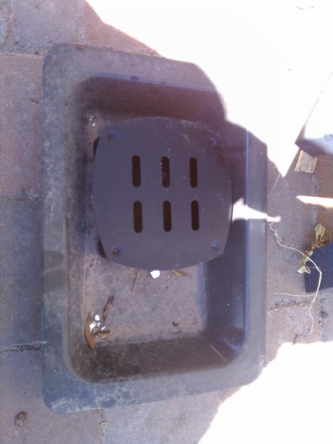IMG_20110617_095538.jpg