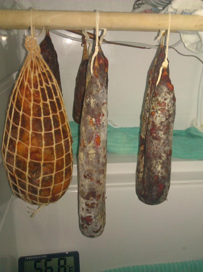IMG_20111005_211704.jpg