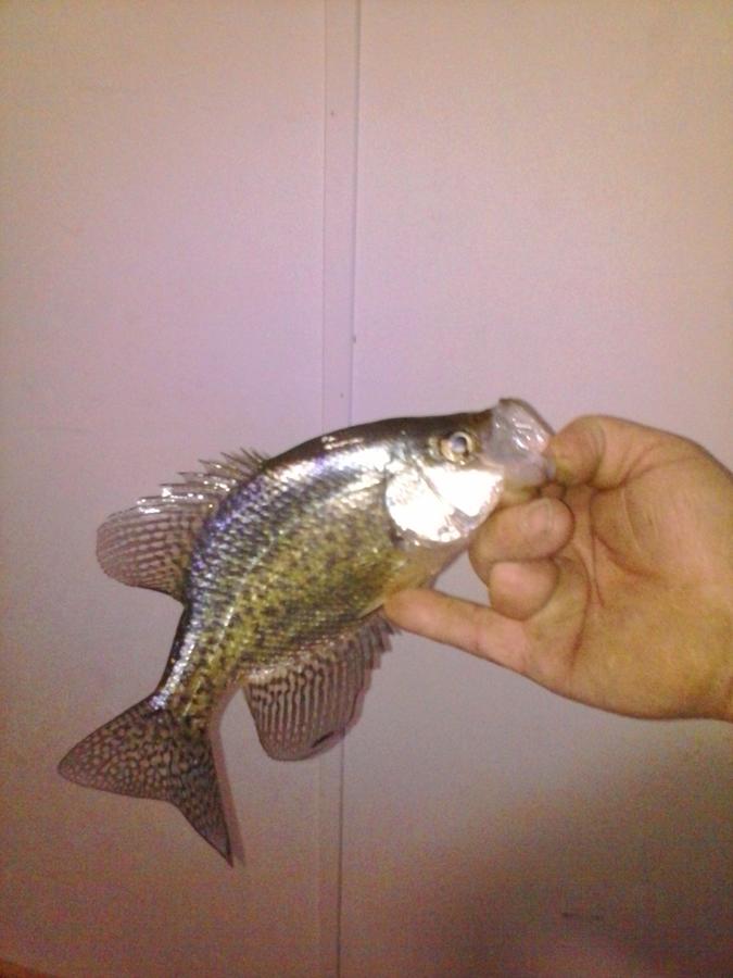 IMG_20140125_173542.jpg