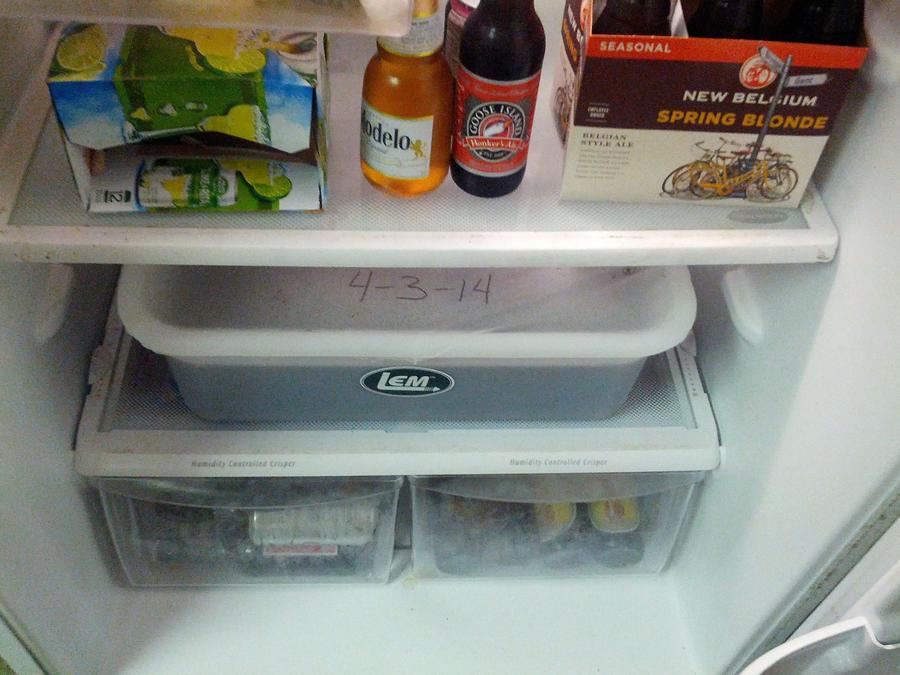IMG_20140404_064150.jpg