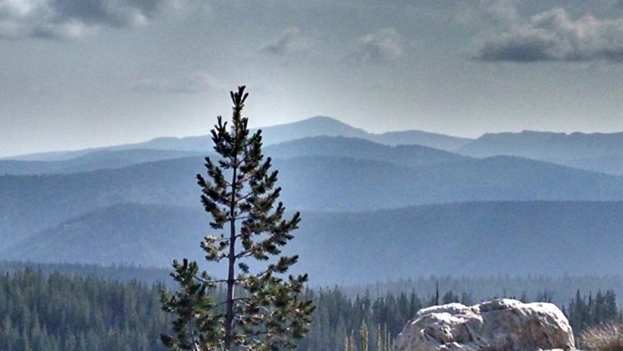 IMG_20140817_092554482_HDR.jpg