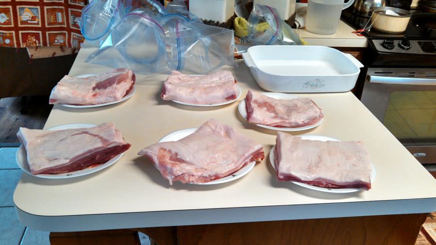 IMG_20150206_101513_926 - Copy.jpg