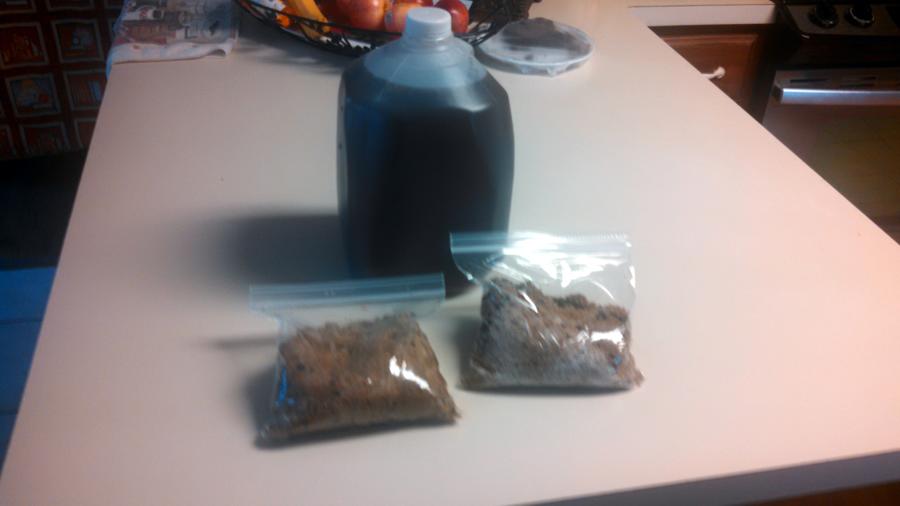 IMG_20151124_133030_691 - Copy.jpg