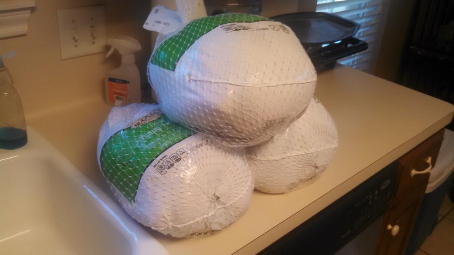 IMG_20151124_133400_503 - Copy.jpg