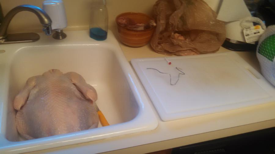 IMG_20151124_133941_725 - Copy.jpg