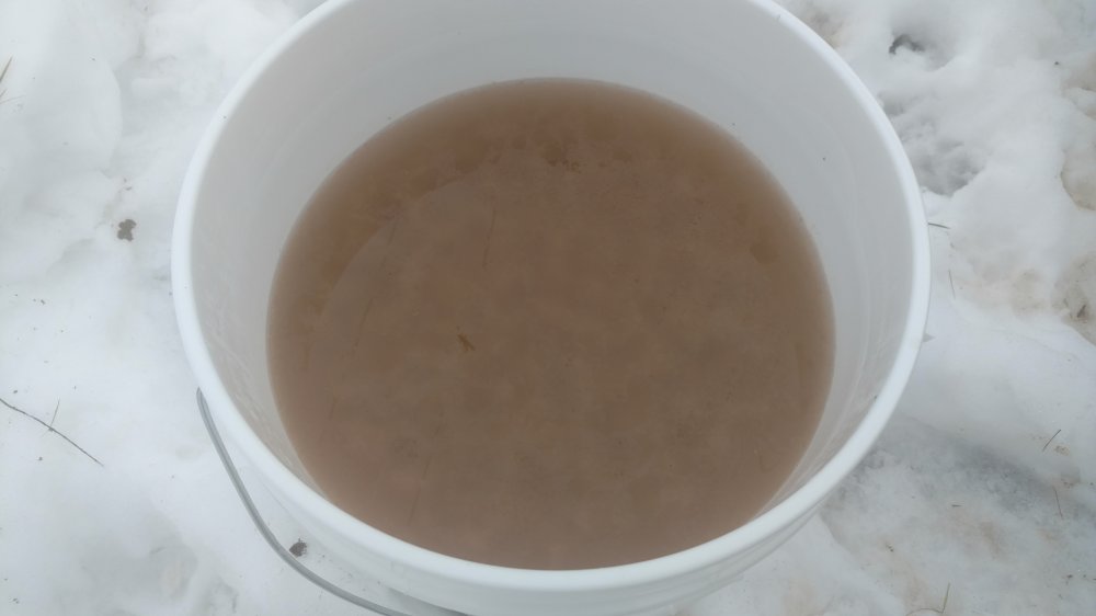 IMG_20180211_153946044