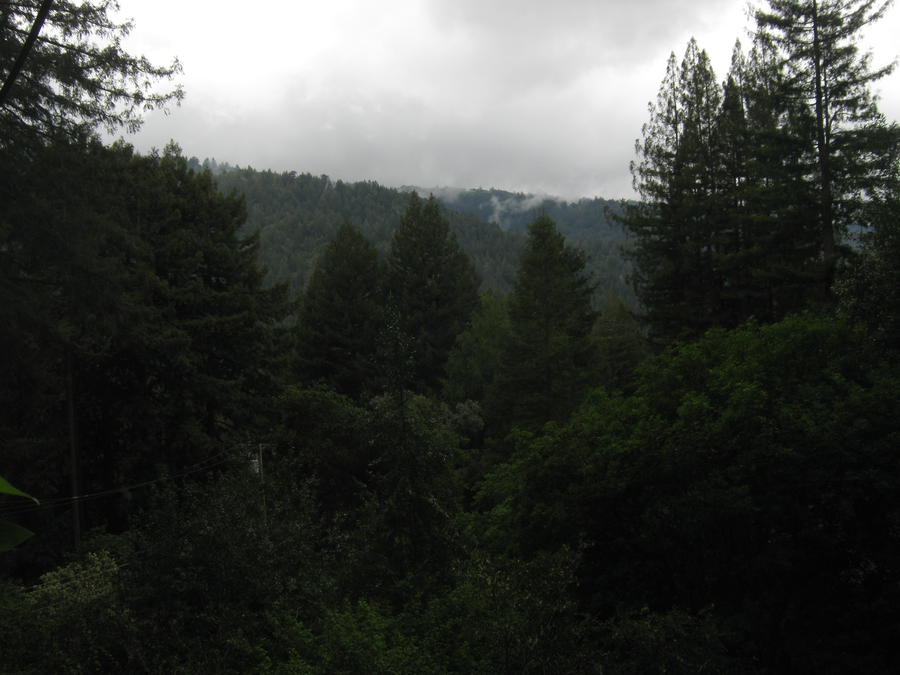 IMG_2287.JPG