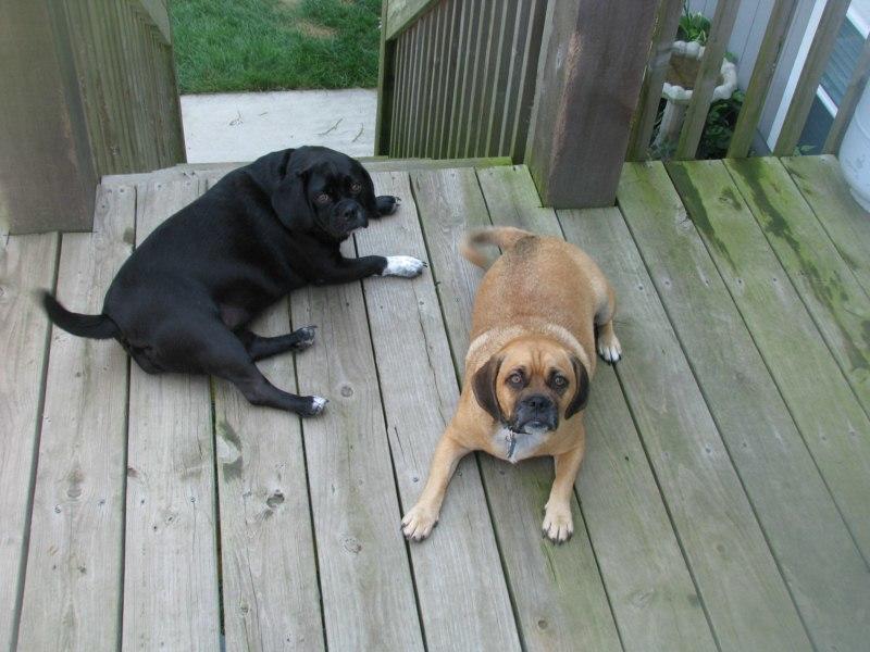 IMG_3098 [800x600].jpg