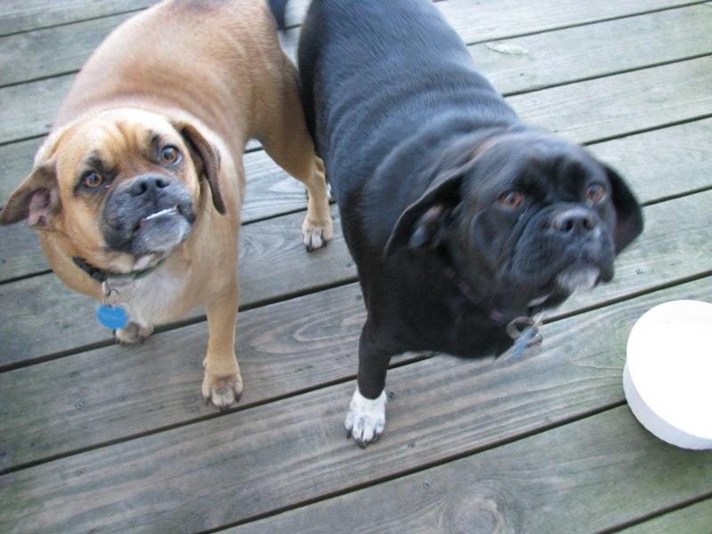 IMG_3180 [800x600].jpg