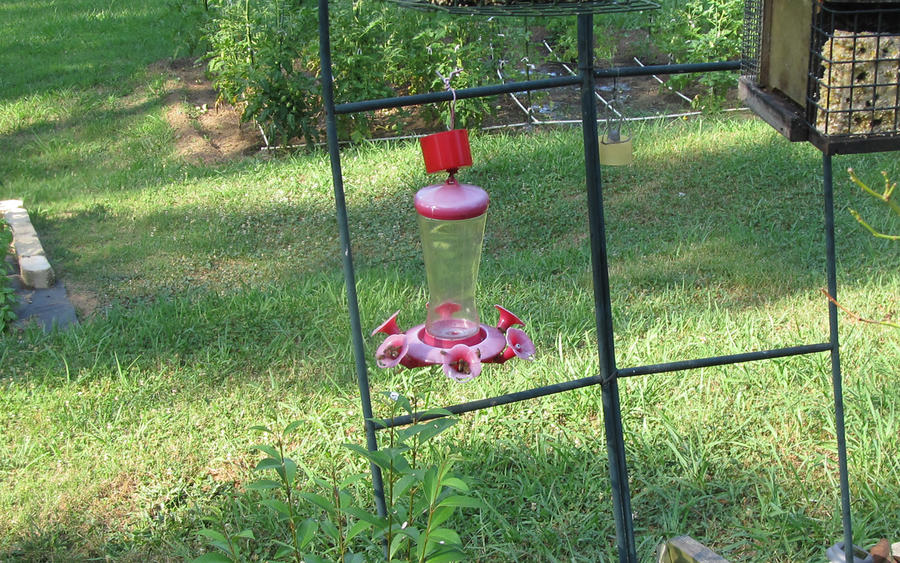 IMG_3217.jpg