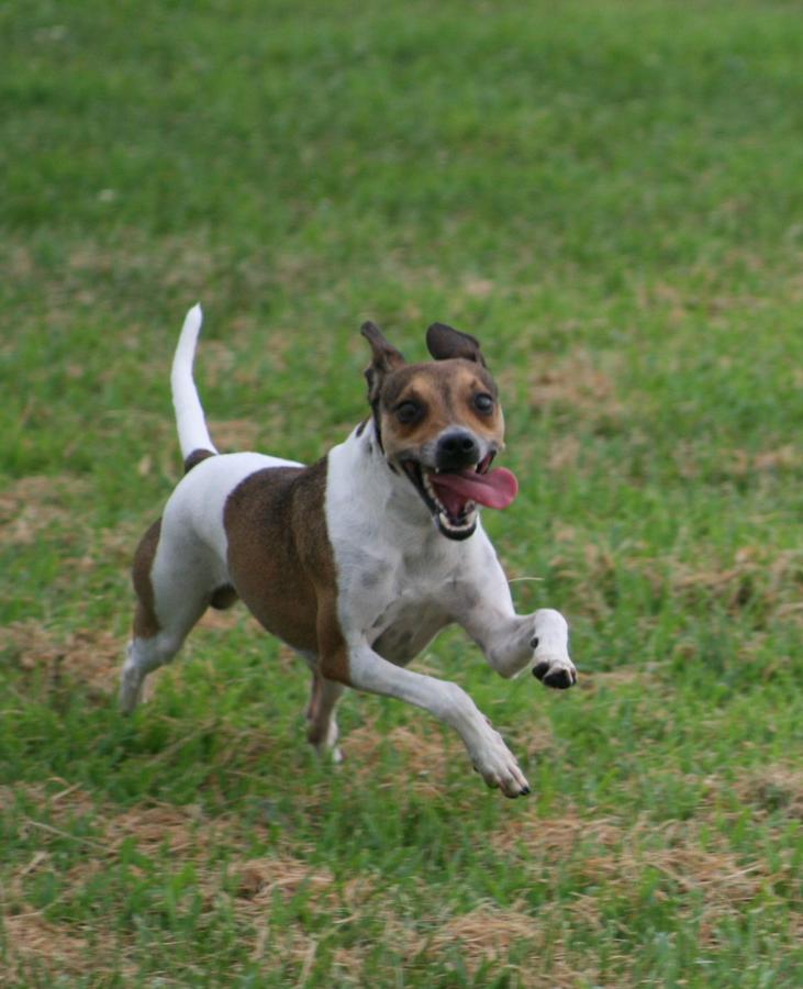 IMG_3348_crop.jpg
