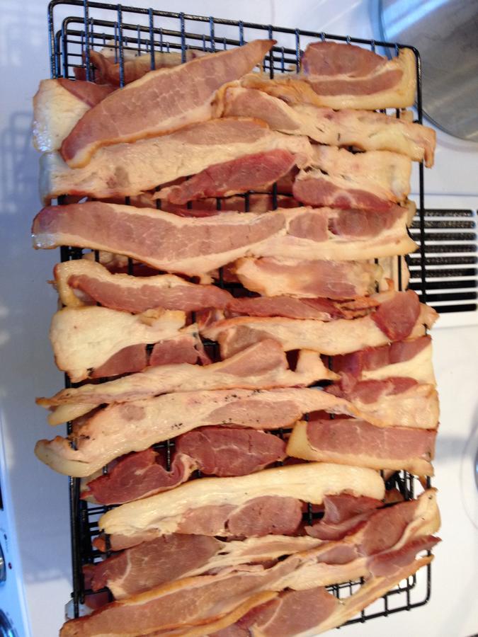 IMG_3370.JPG