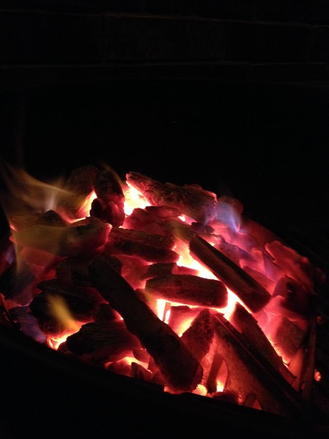 IMG_3516.JPG