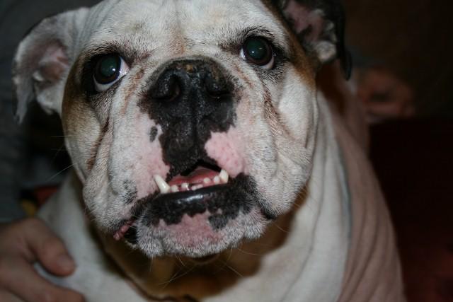 IMG_4724 (640x427).jpg