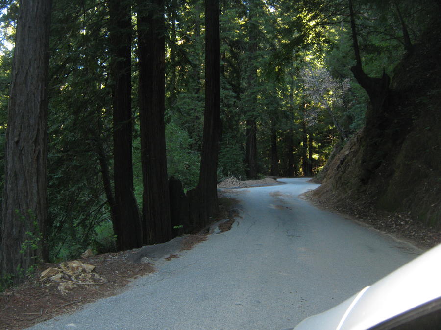 IMG_6327.JPG