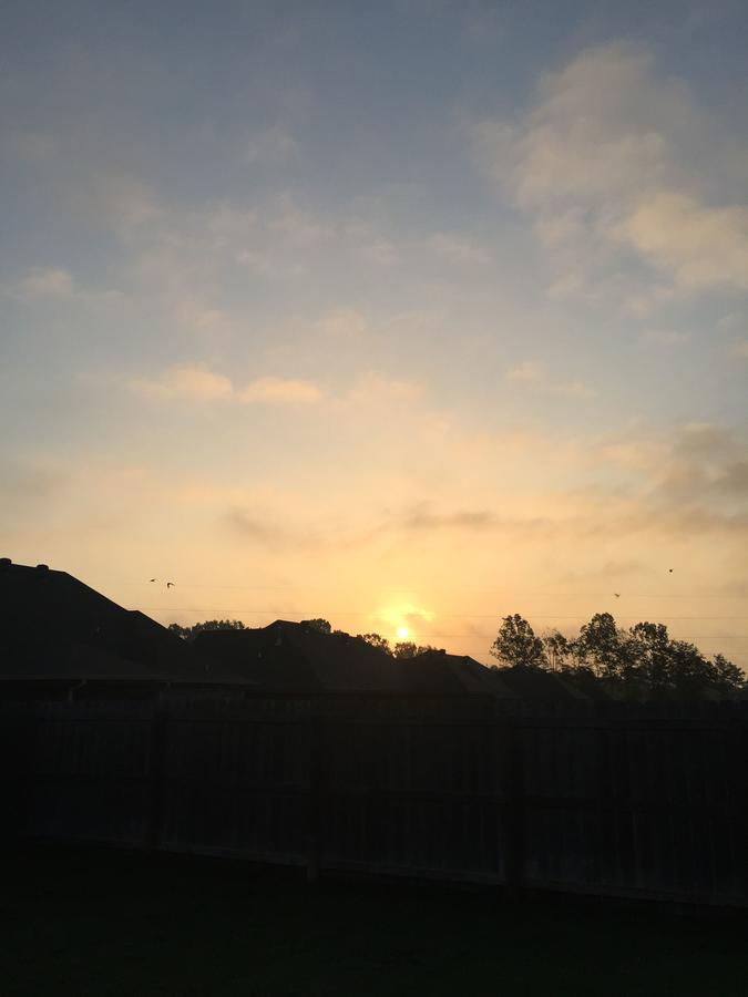 IMG_7637.JPG