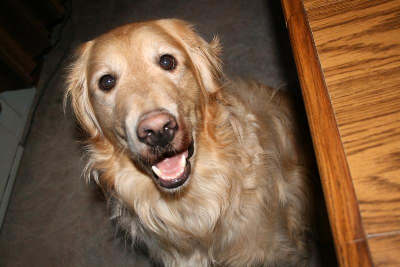 IMG_7929 (800x533).jpg