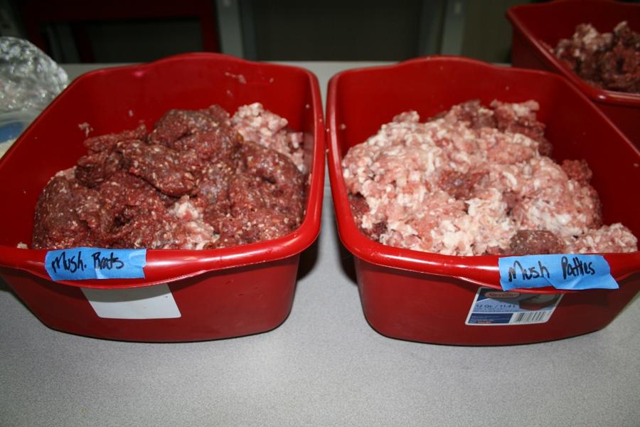 IMG_9785 (1024x683).jpg