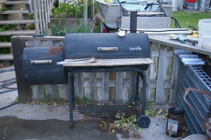 IMGP2497 (Medium).JPG