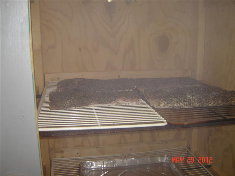 In the Smoker.JPG