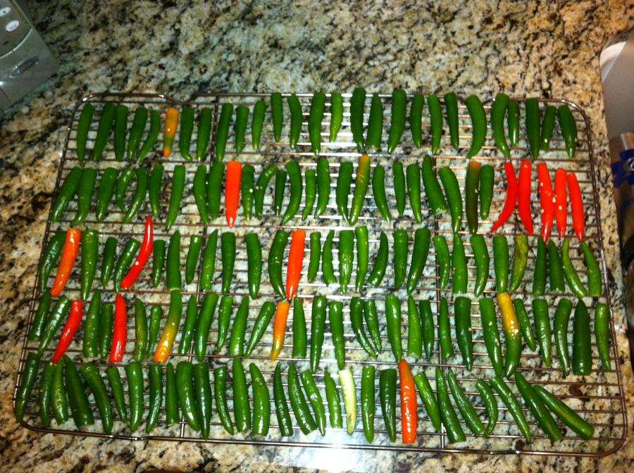 Jalapenos 3.jpg