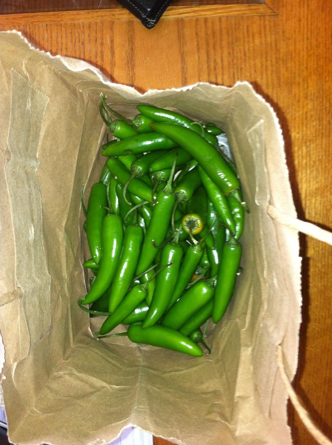 Jalapenos.jpg