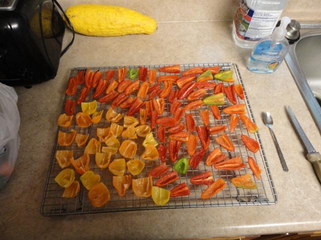 Jalapenos .JPG