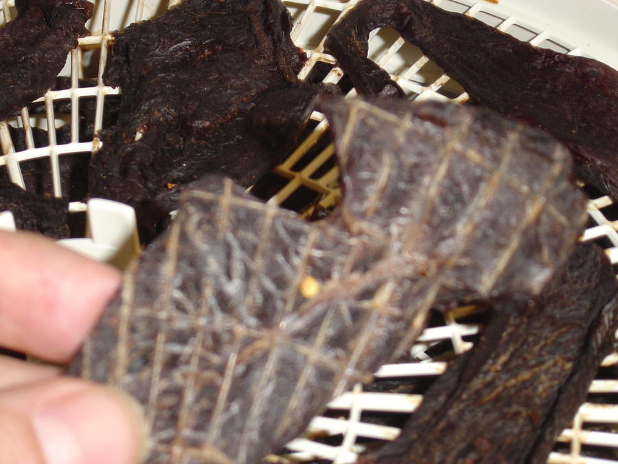 Jerky 2.JPG