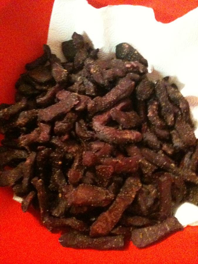 jerky bits.JPG