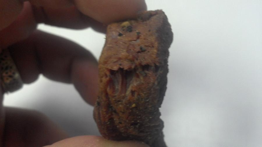 jerky1.jpg