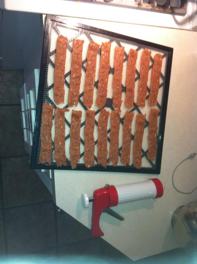 jerkygunanddehydratorrack.JPG