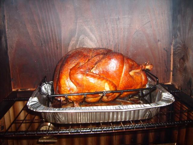 JoAnne's Turkey 3-16-11.jpg