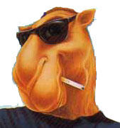 joe_camel-1.jpg