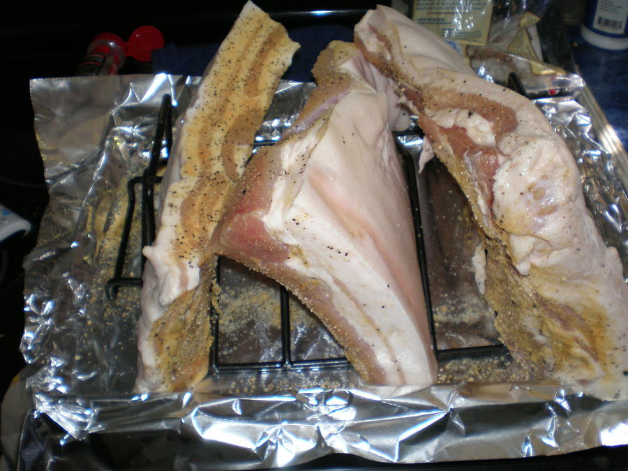 july 2012 bacon 011.JPG