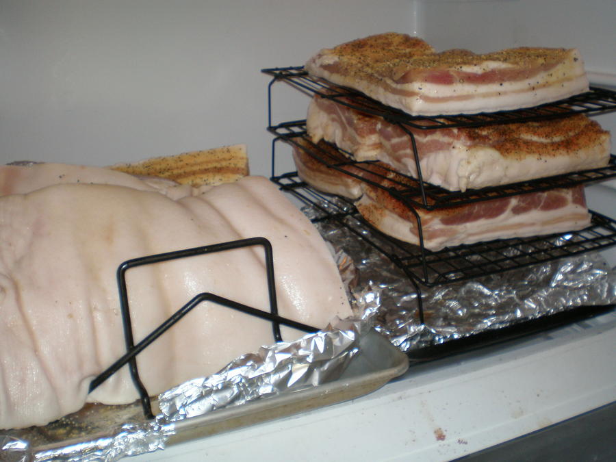 july 2012 bacon 012.JPG