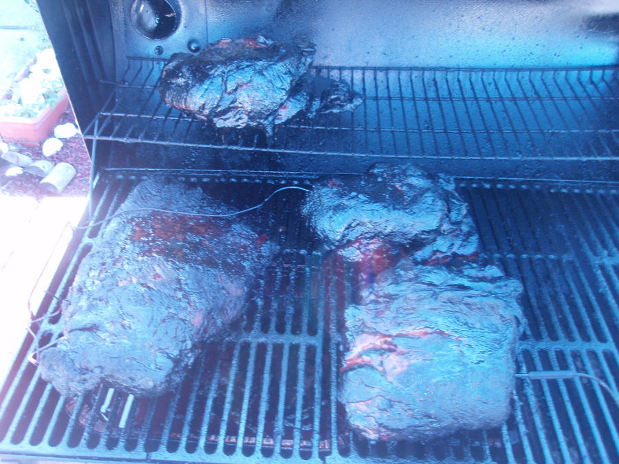 July 4th 2010 032.JPG
