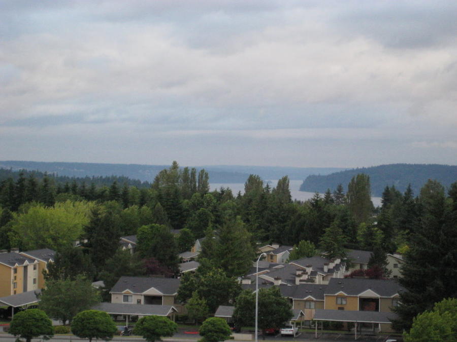 july-4th-2010-5.jpg