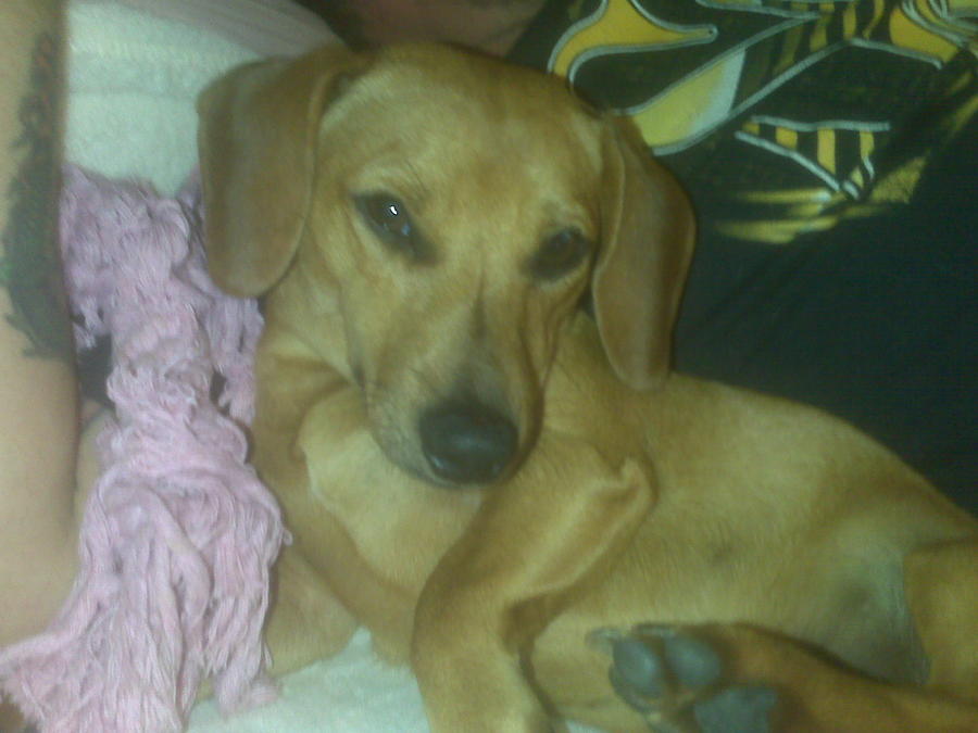 kelleys phone 008.jpg