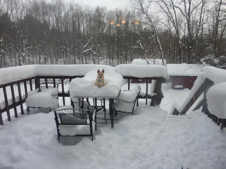 Kevin of the north.jpg