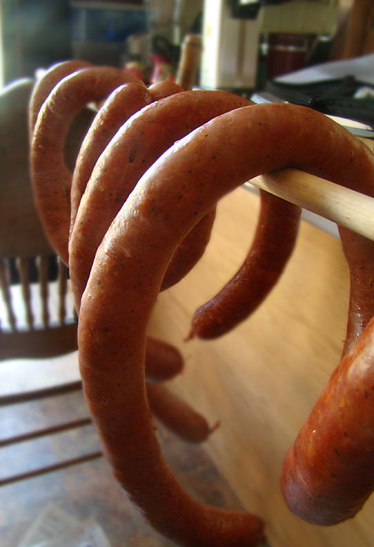 Kielbasa_bloom.jpg