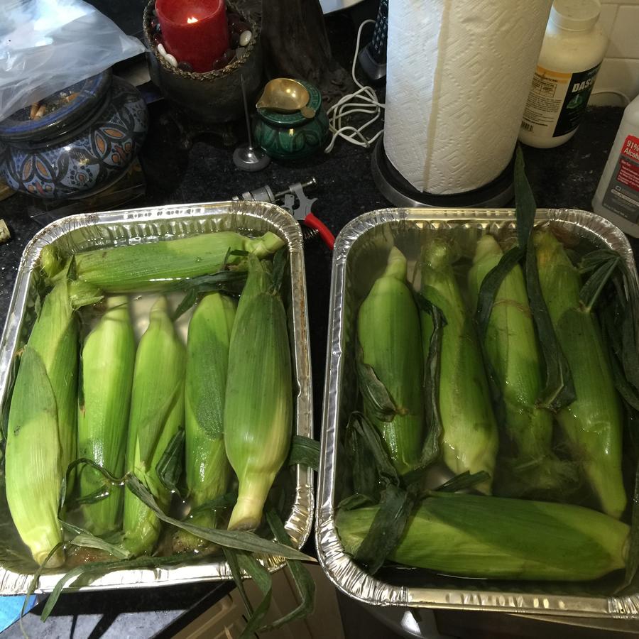 labor corn.JPG
