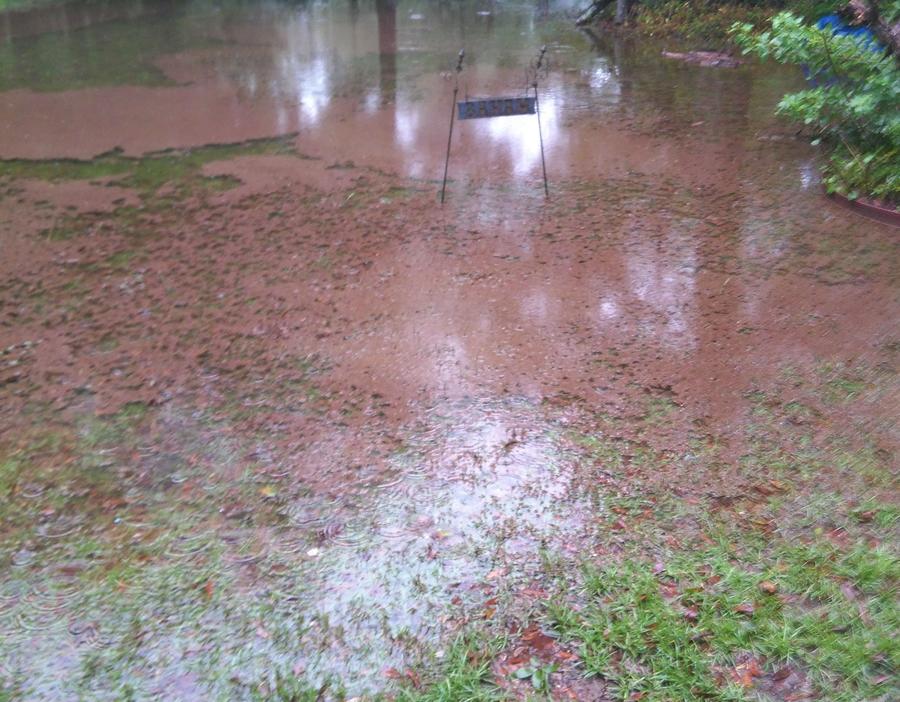 lake baham sideways.jpg