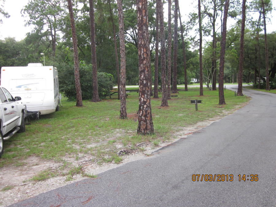 Lake Kissimme,Highlands Hammock 006.JPG