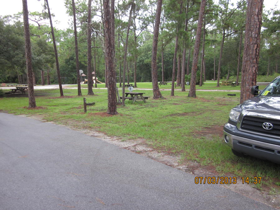 Lake Kissimme,Highlands Hammock 007.JPG