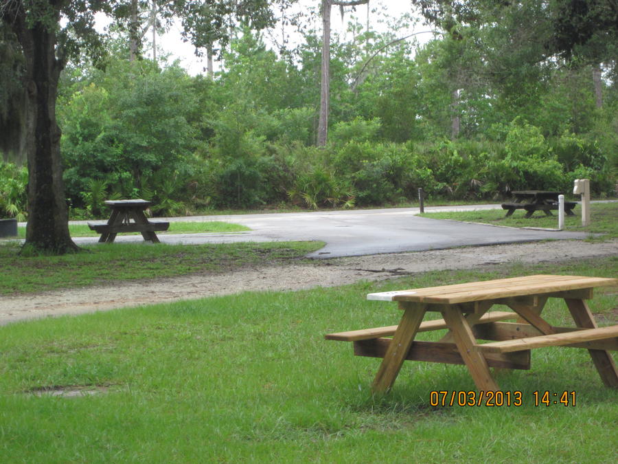 Lake Kissimme,Highlands Hammock 014.JPG