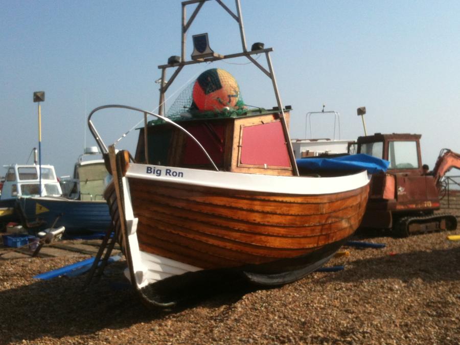 latest photos 005.JPG