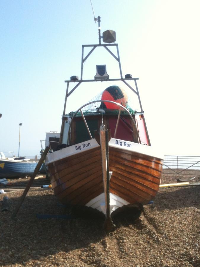 latest photos 006.JPG