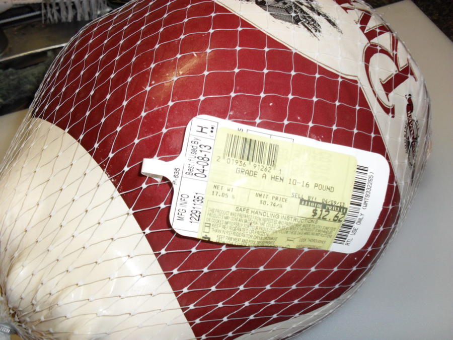 Leaping Frog Turkey #2 125.jpg