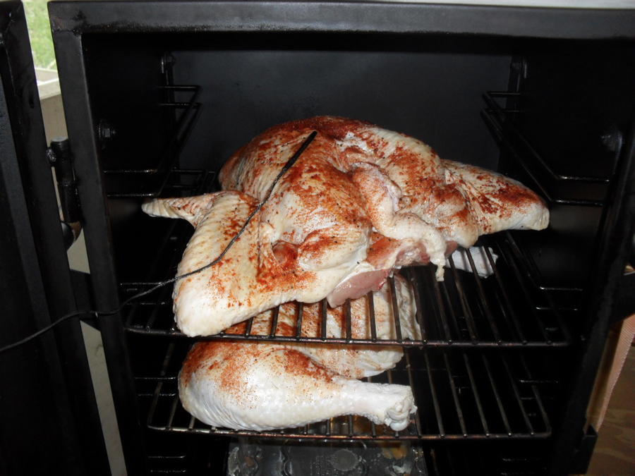 Leaping Frog Turkey #2 152.jpg