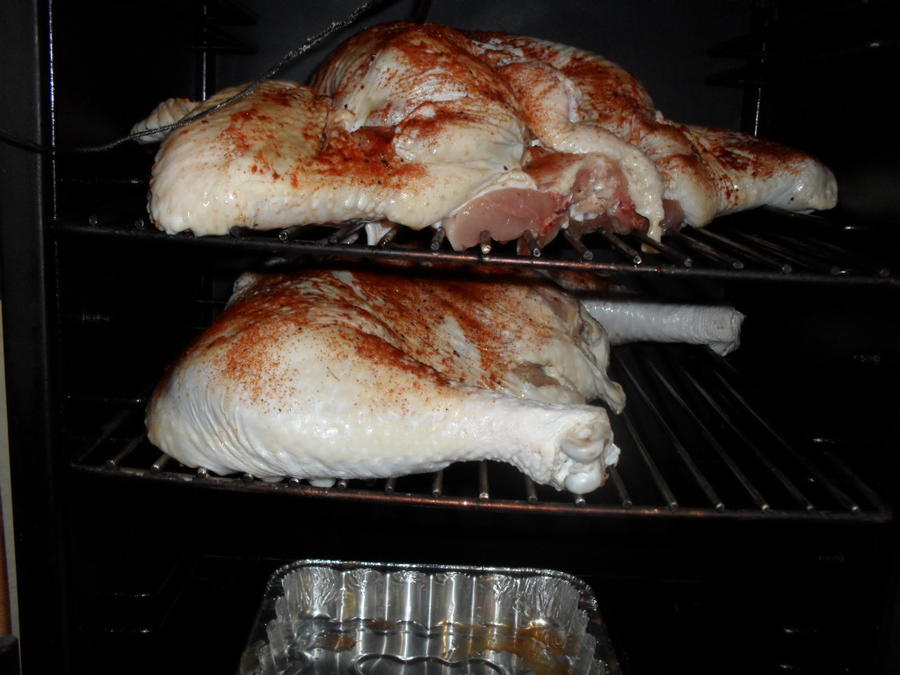 Leaping Frog Turkey #2 153.jpg